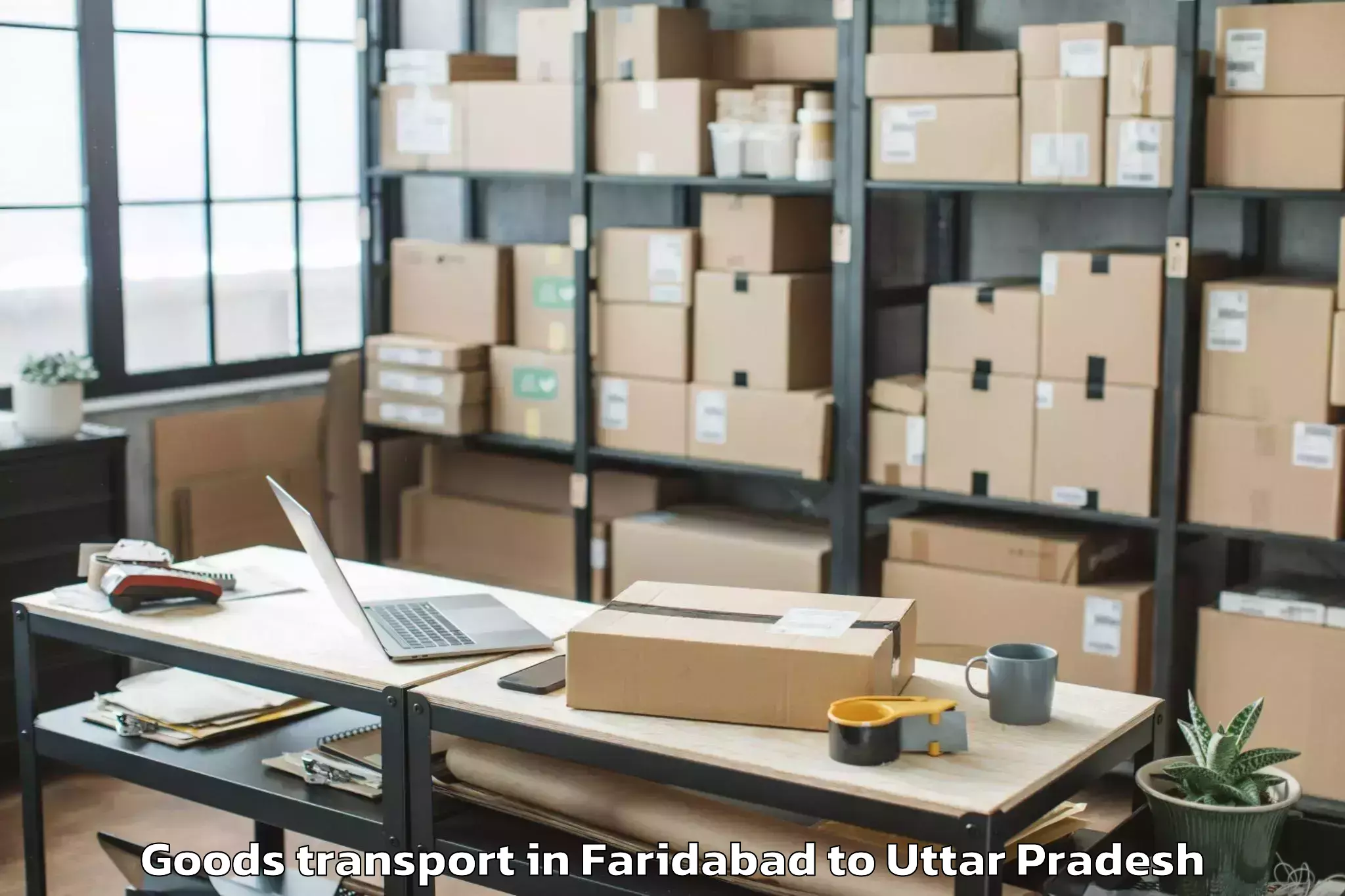 Quality Faridabad to Phaphund Goods Transport